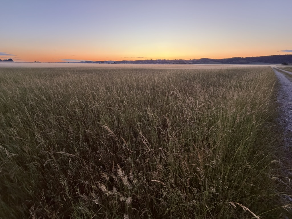 Das Königsauer Moos – Naturschutzgebiet in Unterviehmoos